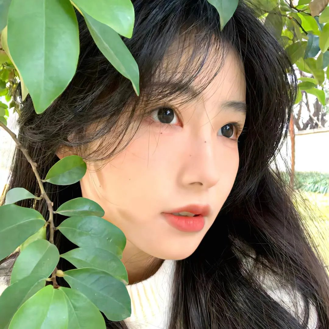 金秋桂花迟