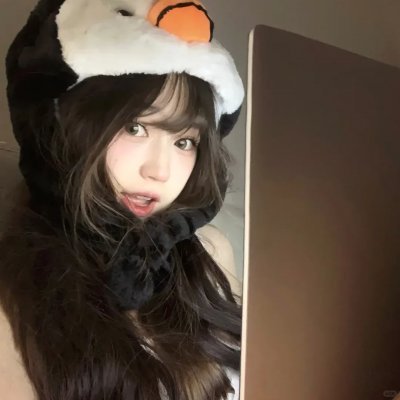 海鸥