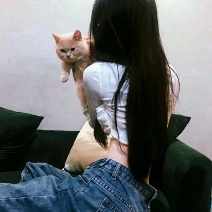 曼哈顿的三间屋